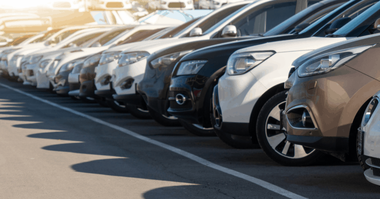 No License? Can You Get Car Insurance | Tippla