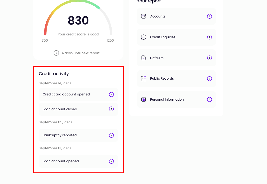 Credit Activity