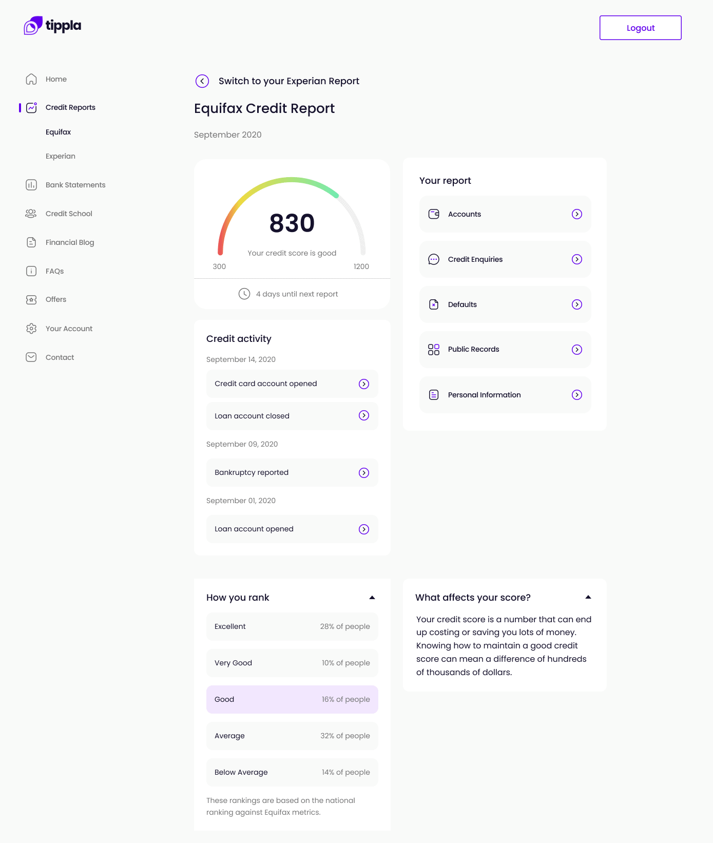 Equifax Credit Report